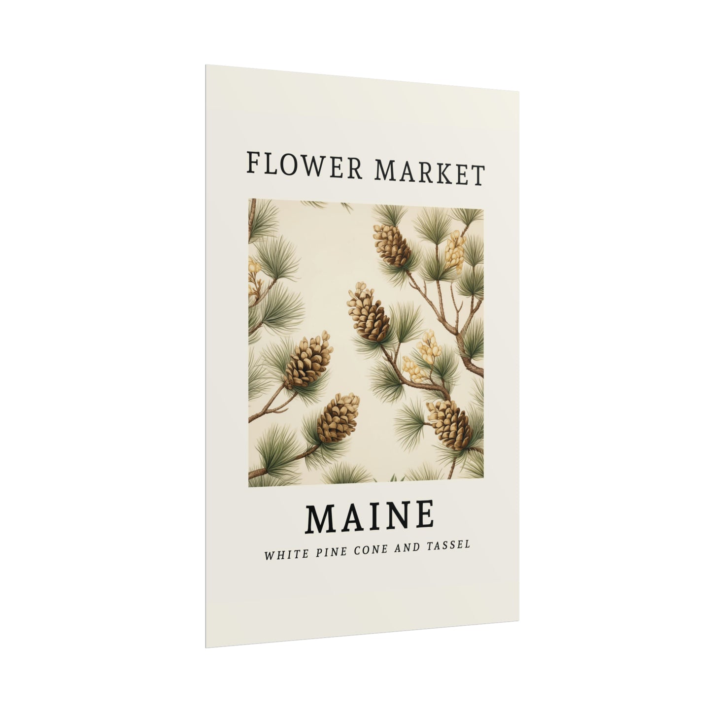 MAINE FLOWER MARKET White pine cone tassel Print