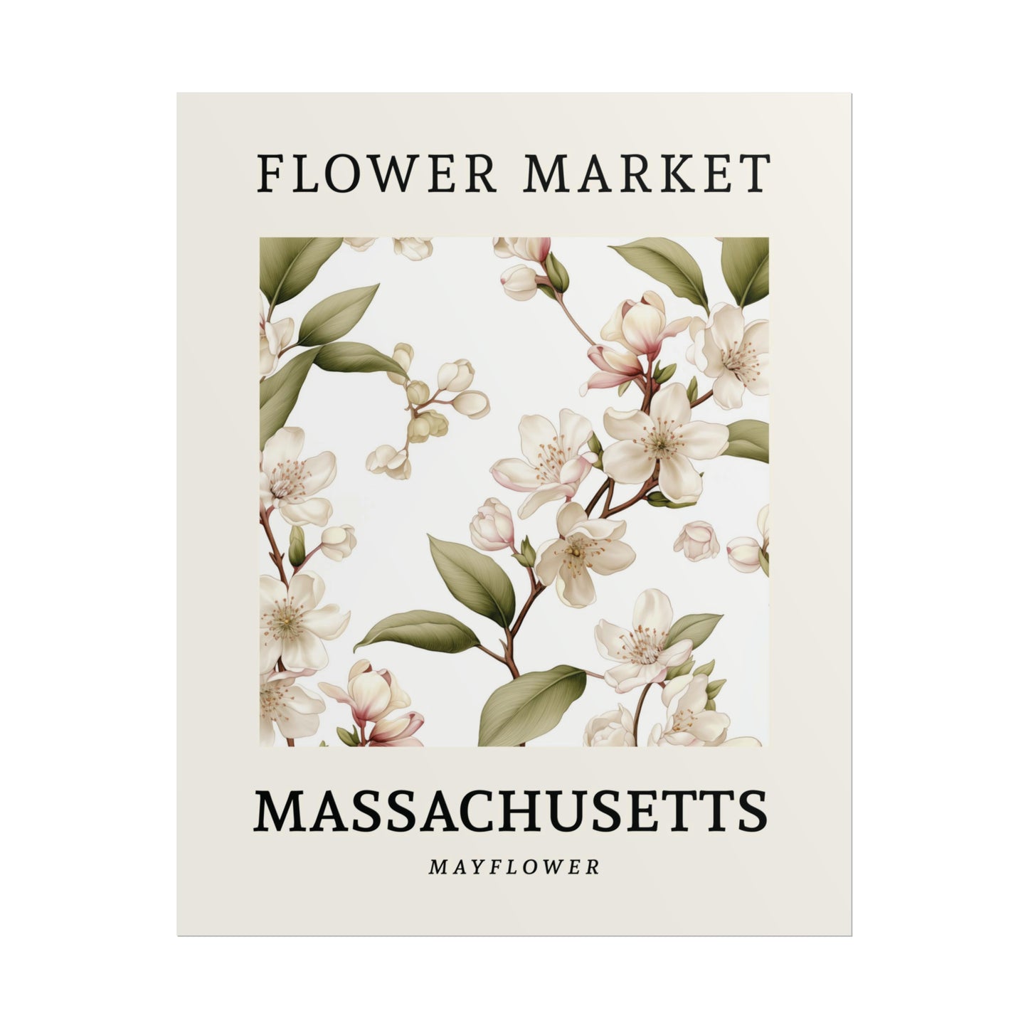 MASSACHUSETTS FLOWER MARKET Poster Mayflower Blooms Print