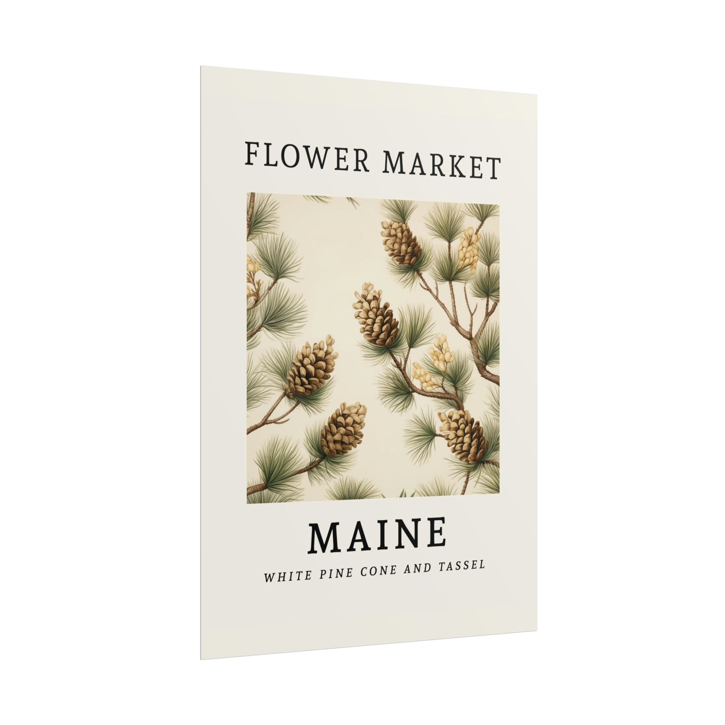 MAINE FLOWER MARKET White pine cone tassel Print